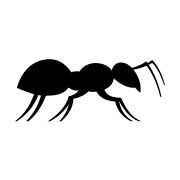 Ant 61 original iOS template