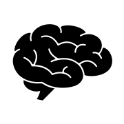 Brain 331 original iOS template