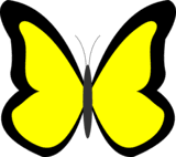 Butterfly original Classic template