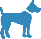 Dog original Classic template